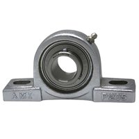 AMI BEARINGS MUCP206-19NPRF