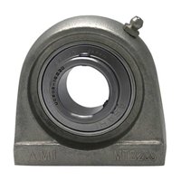 AMI BEARINGS UCMTB206-19MZ20RF