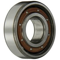 FAG 6004-TB-P6-C3