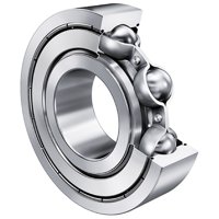 FAG 6202-C-2Z-P6-L138-R10-18