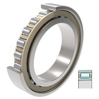 FAG N1017-K-TR-PVPA1-SP