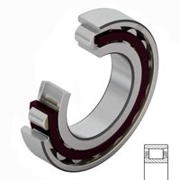 FAG N308E.TVP2