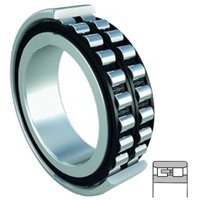 FAG NN3006-D-TVP-SP-XL