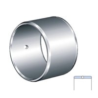 INA IR45X50X35-ISI-N