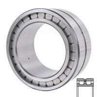 INA SL024996-C3