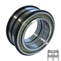 INA SL04200-D-PP-2NR