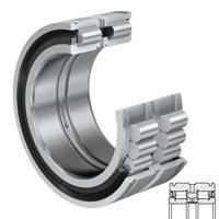 INA SL045005-PP-C3