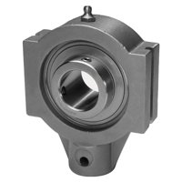 IPTCI SUCSTRS206 19 L3