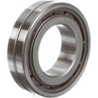 MCGILL 312004000