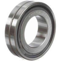 MCGILL 313206000