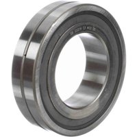 MCGILL 318066000
