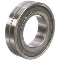 MCGILL 318206000