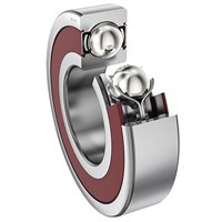 NSK 6009DDUC3