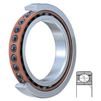 5S-BNT005P2
