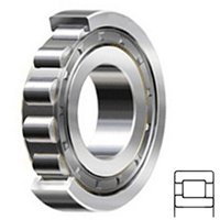 NTN NJ317C4