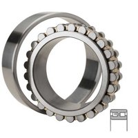 NTN NN3026P4