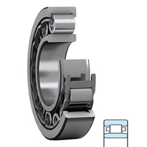 NU207 OBSOLETE 8/25 USE 1226381 NU207 OBSOLETE 8/25 USE 1226381