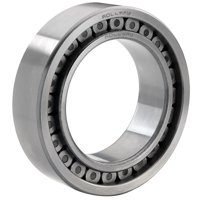 ROLLWAY BEARING 23988577