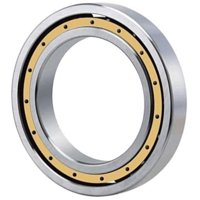 SCHEERER BEARING 6021-M