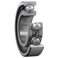 SKF 61819