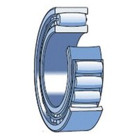 SKF C6006 V