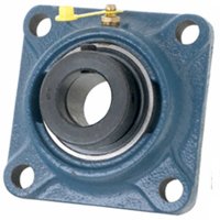 SKF FY 1. WF