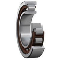 SKF IR-NU 2313 EC/C3