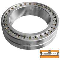 TIMKEN NNU49/600AMAW33W98C3